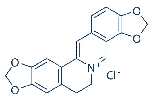 Coptisine chloride