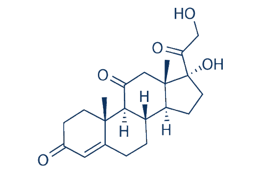 Cortisone