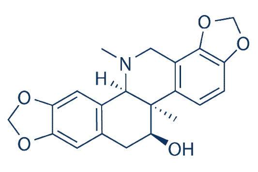 Corynoline