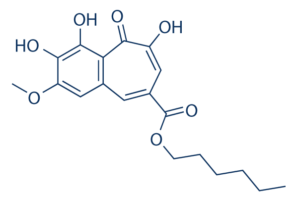 CU-CPT22