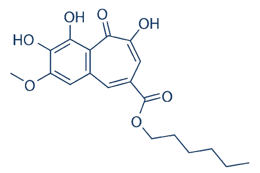 CU-CPT22