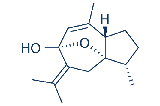 Curcumenol