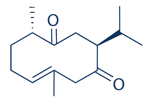 Curdione