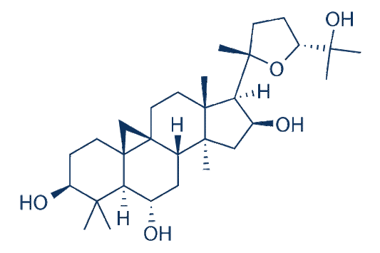 Cycloastragenol