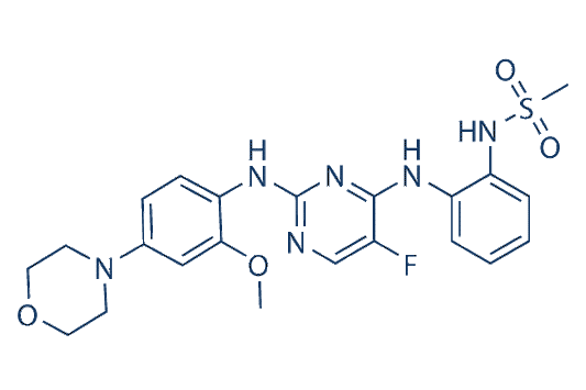 CZC-25146
