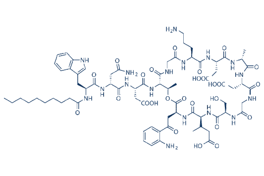 Daptomycin