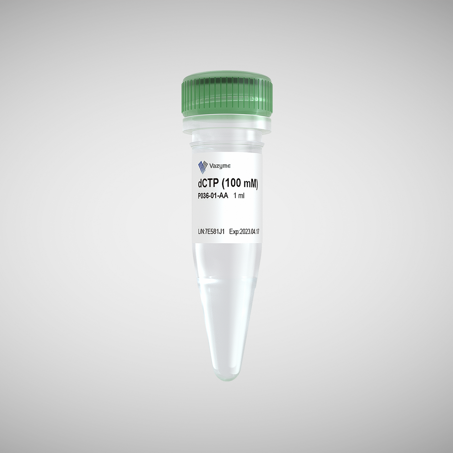 dCTP (100 mM)