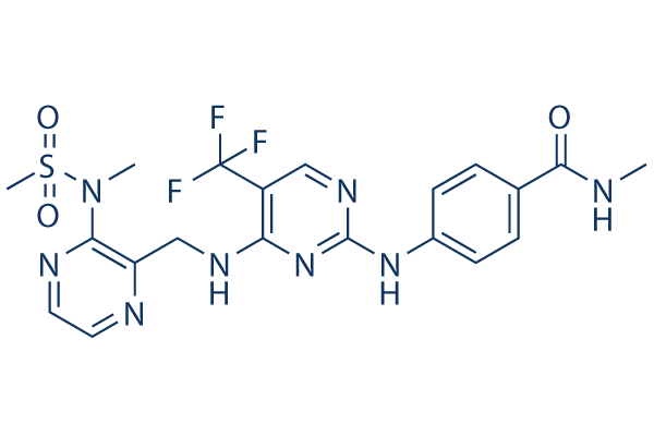 Defactinib (VS-6063)