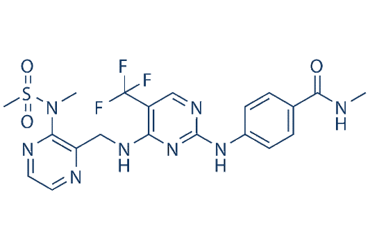 Defactinib (VS-6063)