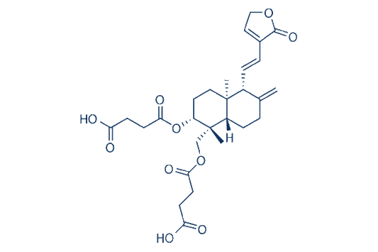 Dehydroandrographolide Succinate