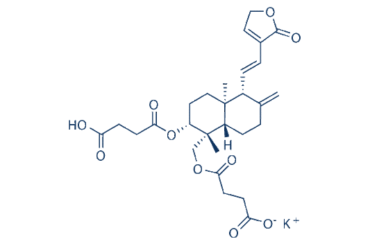 Dehydroandrographolide Succinate Potasium Salt