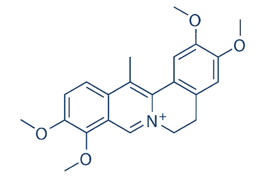 Dehydrocorydalin