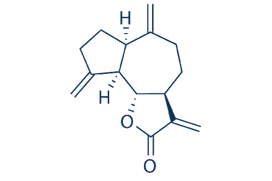 Dehydrocostus Lactone