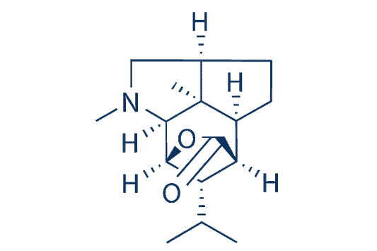 Dendrobine