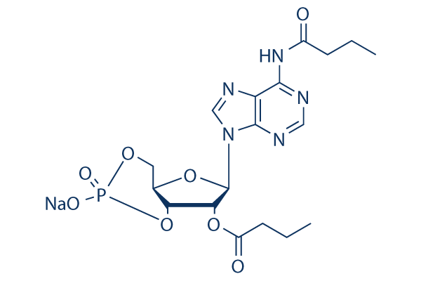 Dibutyryl cAMP (db cAMP/Bucladesine)sodium
