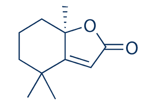 Dihydroactinidiolide
