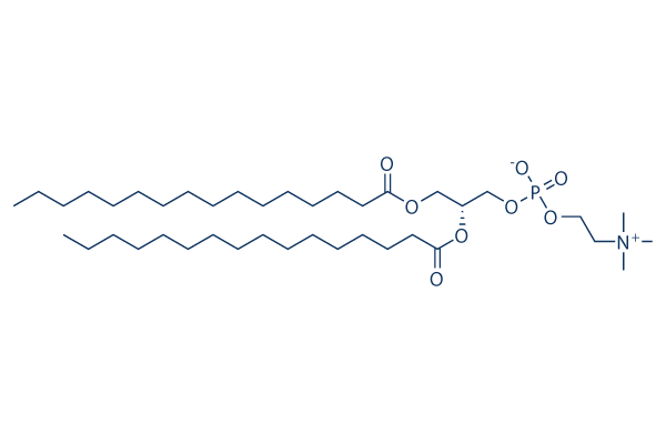 1,2-dipalmitoyl-sn-glycero-3-phosphocholine
