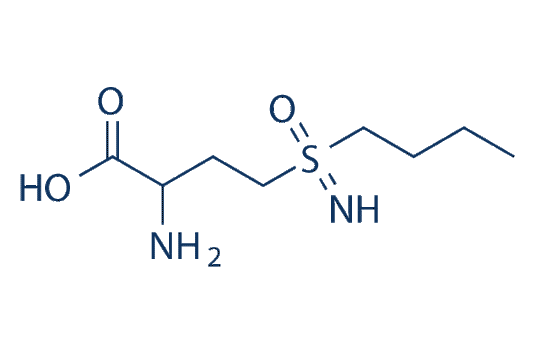 DL-Buthionine-Sulfoximine