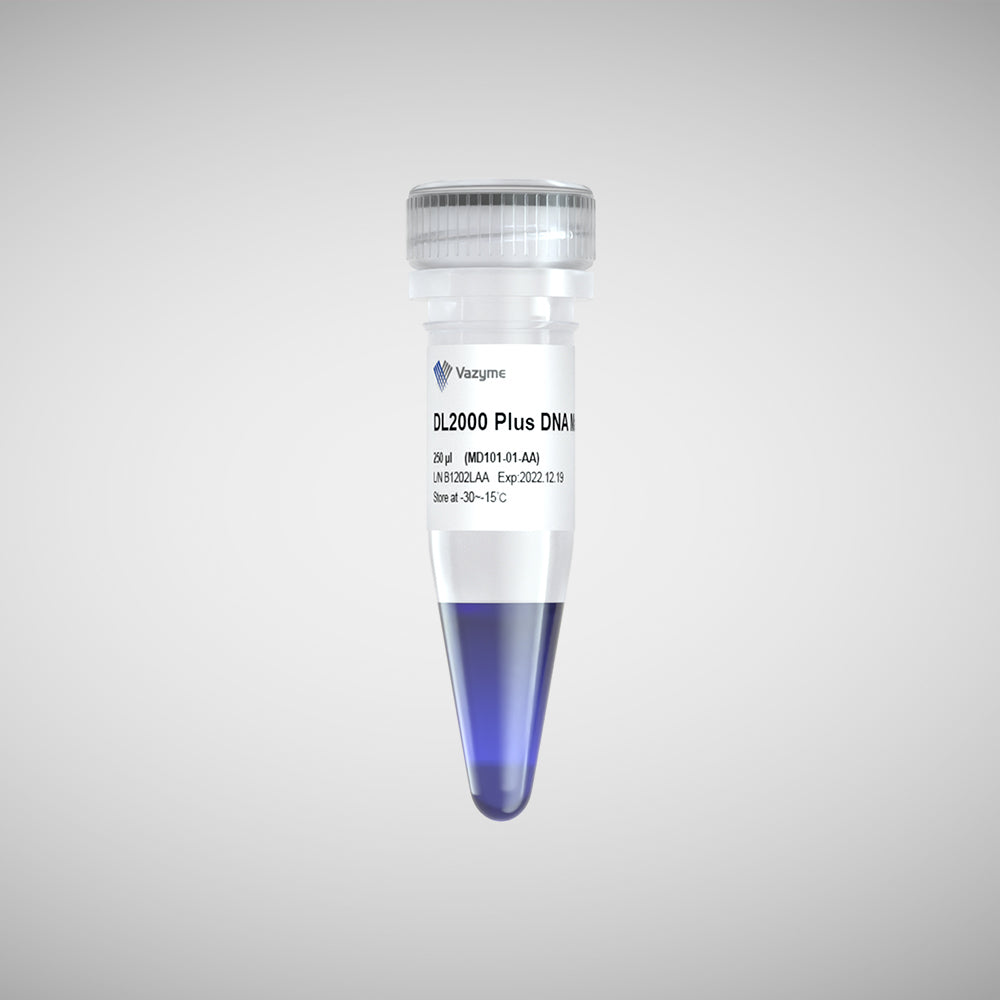 DL2000 Plus DNA Marker | Absource