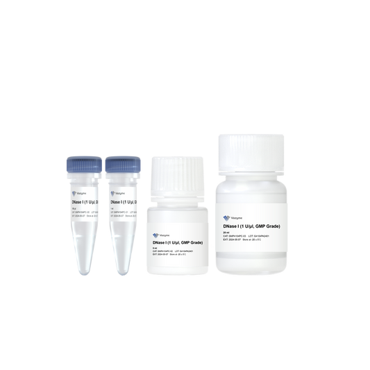 DNase I (1 U/μl, GMP Grade)