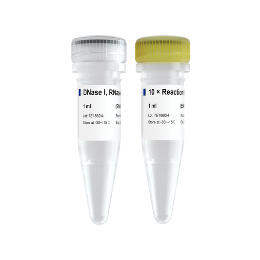 DNase I, RNase-free (1 U/μl)