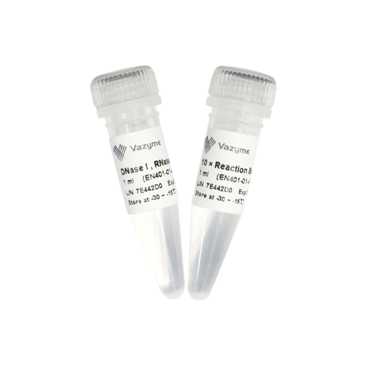 DNase I, RNase-free (50 U/μl)