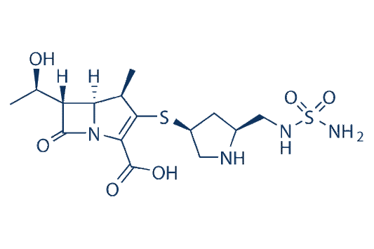 Doripenem