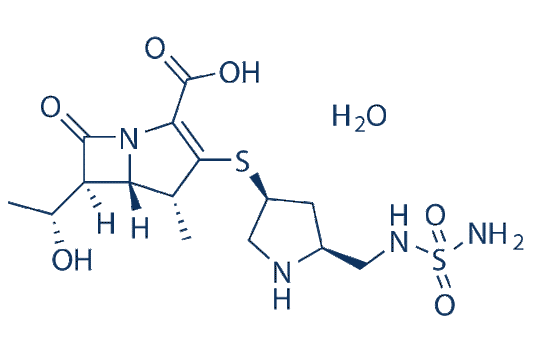 Doripenem Hydrate