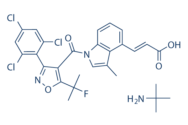 DS-1001b (DS 1001)