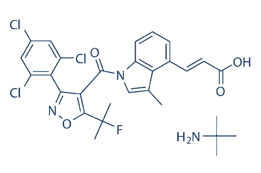 DS-1001b (DS 1001)