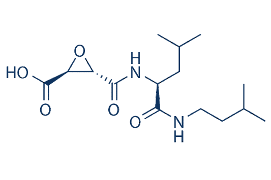 Loxistatin Acid (E-64C)