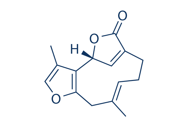 Linderalactone