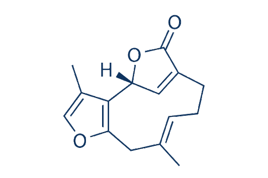 Linderalactone