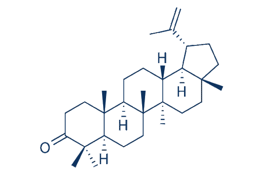 Lupenone