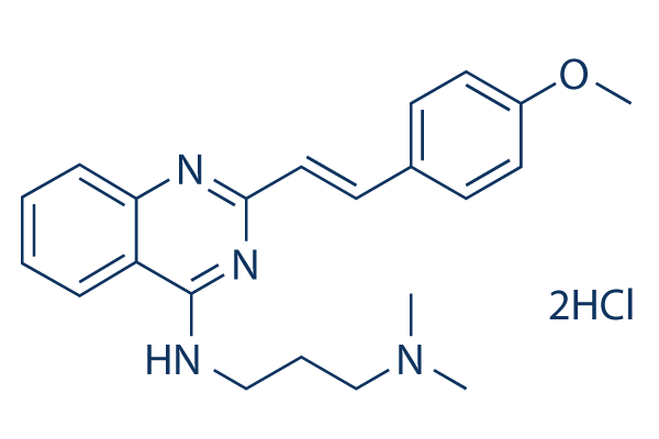 CP-31398 Dihydrochloride