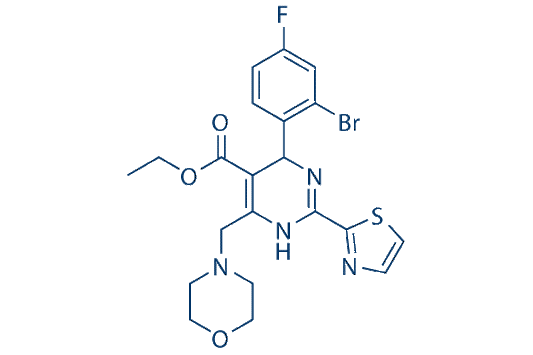 Morphothiadin