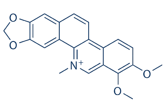 Chelerythrine