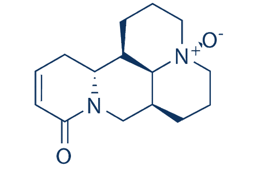 Oxysophocarpine