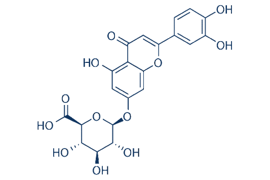 Luteolin-7-O-glucuronide