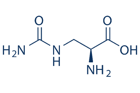 L-Albizziin