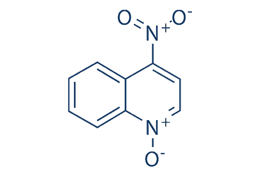 4-Nitroquinoline 1-oxide