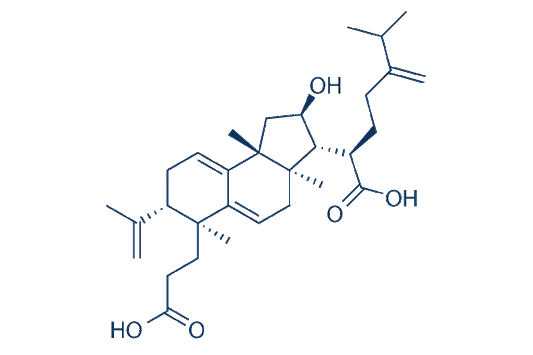 Poricoic acid A
