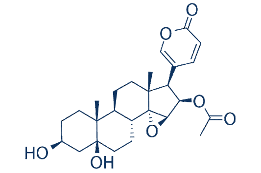 Cinobufotalin
