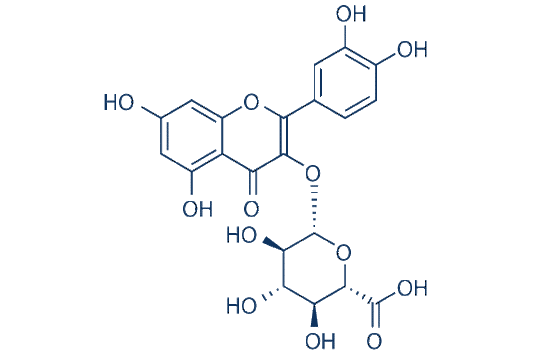 Quercetin 3-O-β-D-glucuronide