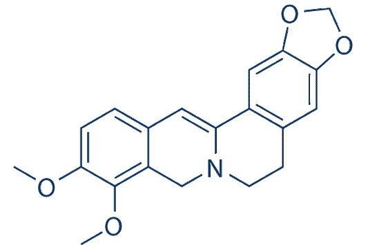 Dihydroberberine