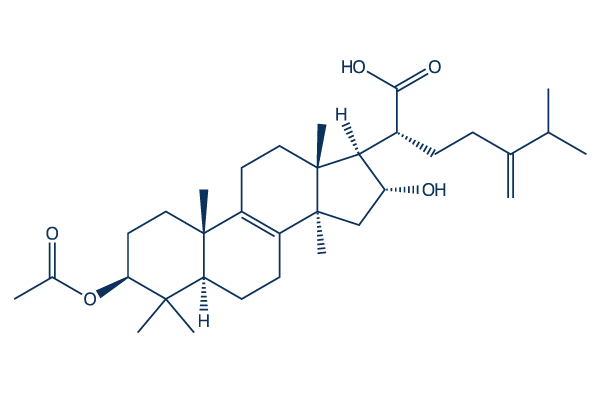 Pachymic acid