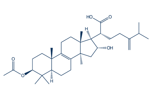 Pachymic acid