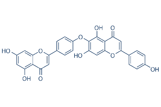 Hinokiflavone