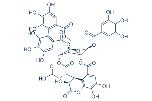 Chebulagic acid
