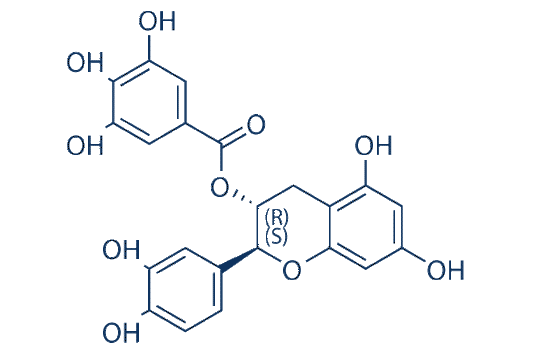 (-)-Catechin gallate